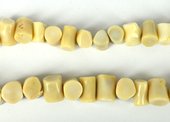 Coral Cream Side drill tube 14x11mm strand 34 beads-beads incl pearls-Beadthemup