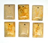 Petrified Coral 18x25mm top drill Rectangle-beads incl pearls-Beadthemup