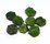 Chrome Diopside Flat Slice app 11x11mm EACH BEAD